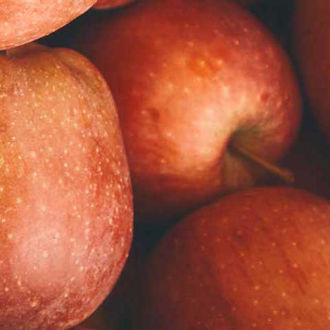 Női online tanácsadó kurzus, kurzusok